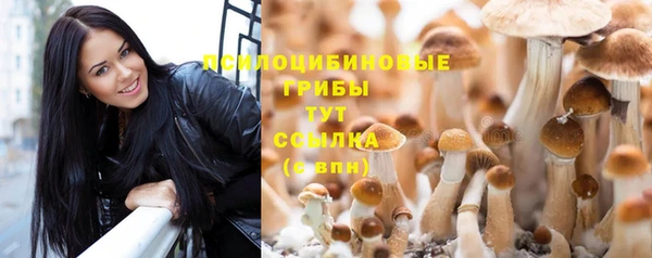 каннабис Алзамай