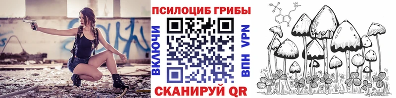 наркотики  Новомичуринск  Псилоцибиновые грибы прущие грибы 