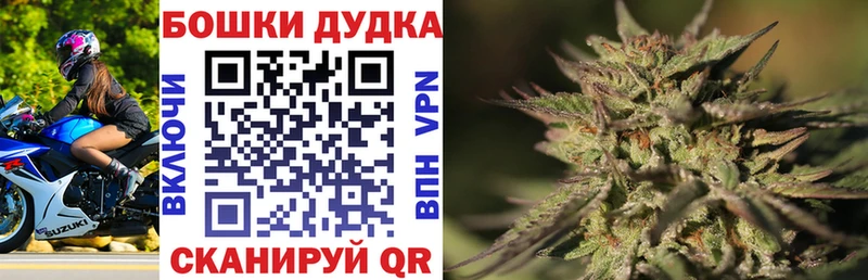Бошки Шишки ГИДРОПОН  MEGA онион  Новомичуринск  магазин продажи  